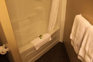 STANDARD QUEEN Single Room with 1 Queen Bed (on LaCreteInn&Suites.ca)